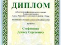 Диплом Стефаненко Д.С_page-0001